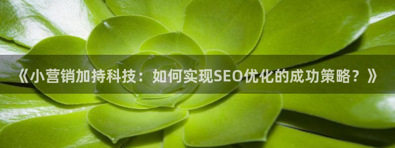 金年会金字招牌至上用了多少钱?