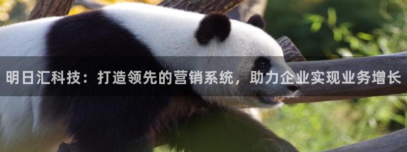 金年会体育网站