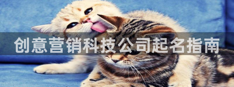 金年会网址导航