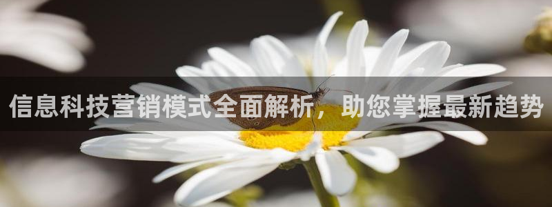 金年会网站稳不稳