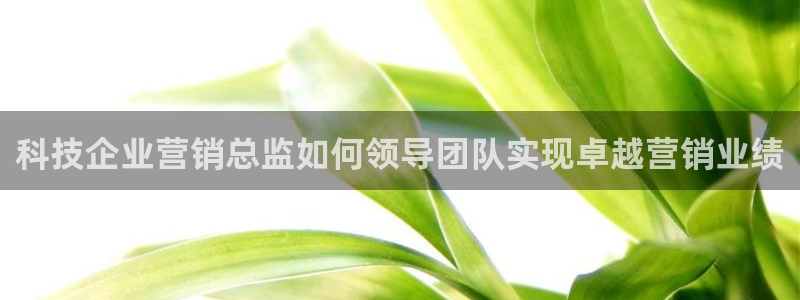 金年会体育app属于正规平台吗