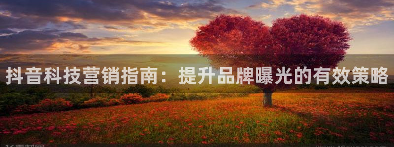金年会 金字招牌诚信至上