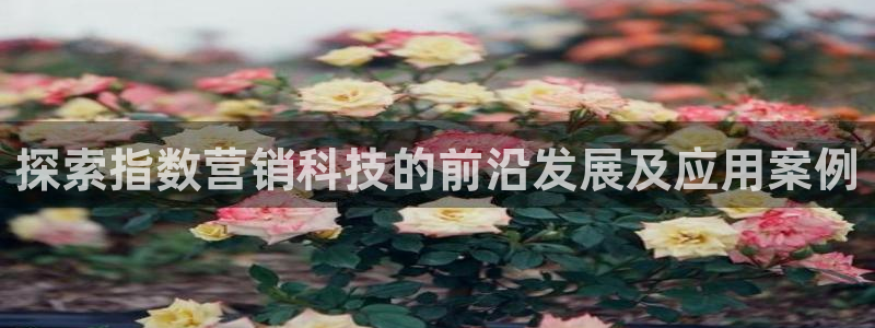 金年会电子游戏—2023全球木材与木制品大会