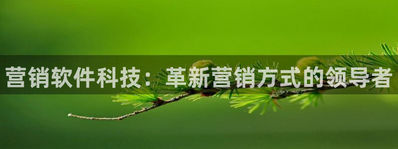 金年会网站多少