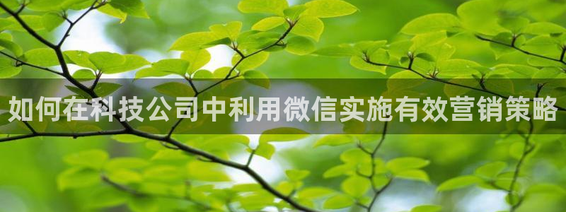 金年会pg麻将胡了几张牌