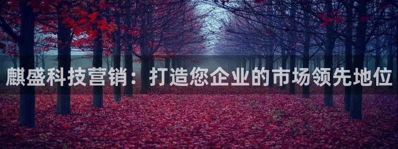 金年会体育官方app下载安卓