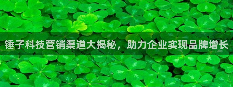 金年会平台是黑网还是白网