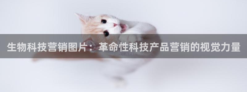 金年会官方下载
