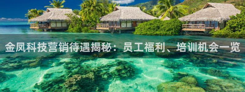 金年会体育怎么样