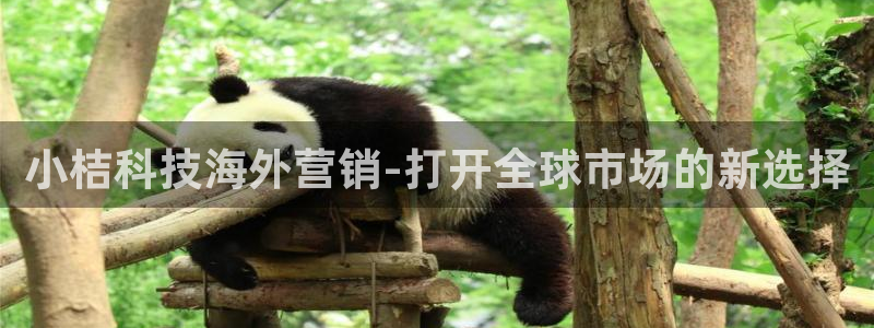 金年会体育在线登陆入口