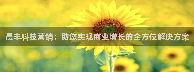 金年会app官方网站入口