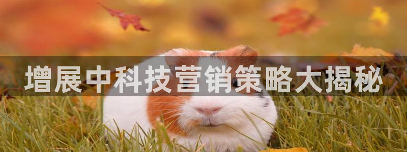金年会在线入口