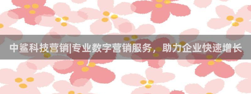 金年会平台怎么样