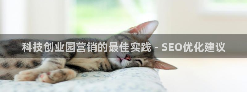 金年会官方娱乐app下载安卓