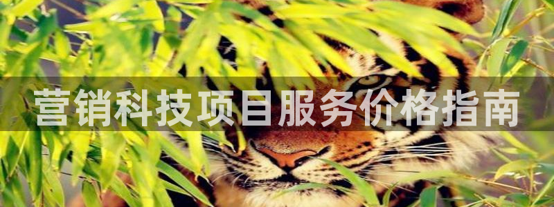 金年会体育app下载官网苹果手机