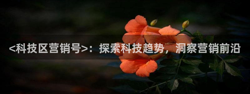 金年会los版下载