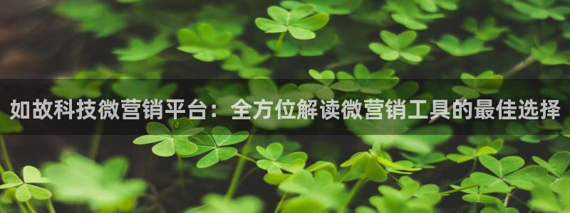 金年会金字招牌入口