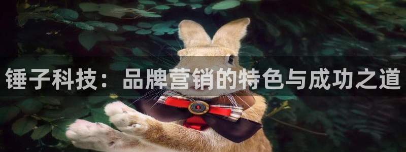 金年会官方在线登录