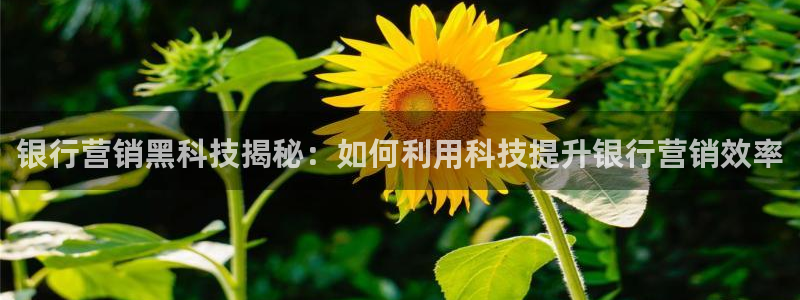 金年会官方在线登录网址是多少号