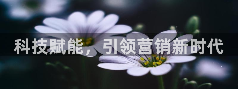 金年会体育一直输
