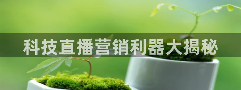 金年会sports