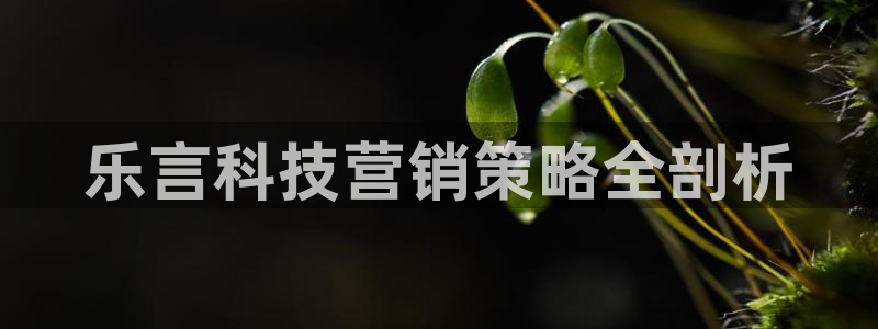 金年会体育论坛官网
