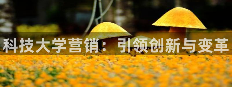 金年会app是不是钓鱼软件