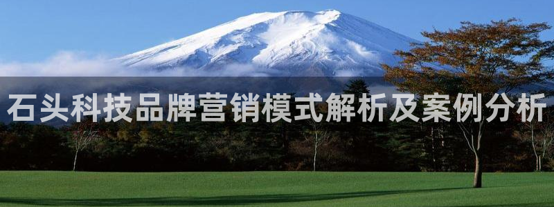 金年会官方入口登录