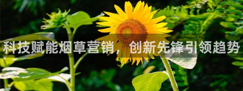 金年会下载链接
