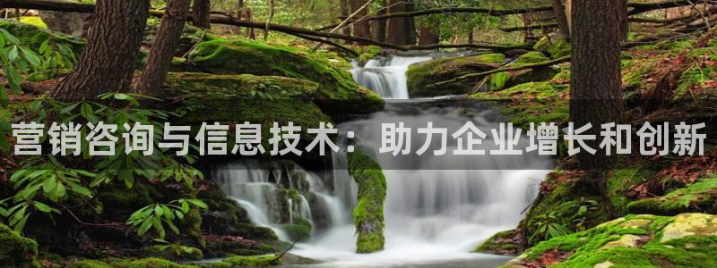 金年会官方进入2023