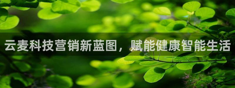 金年会官方在线入口网站2023