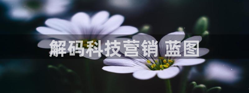 金年会体育网站