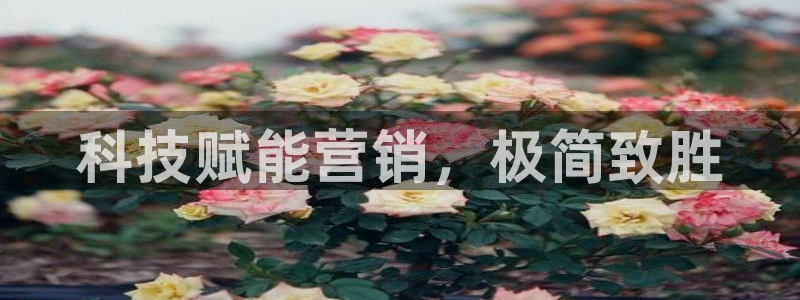 金年会体育登陆