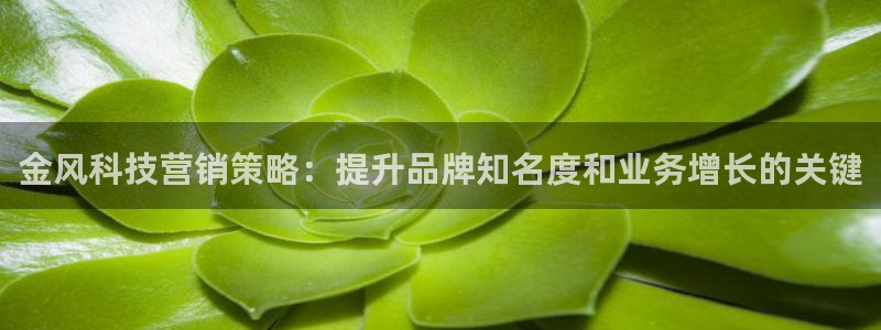 金年会平台官网