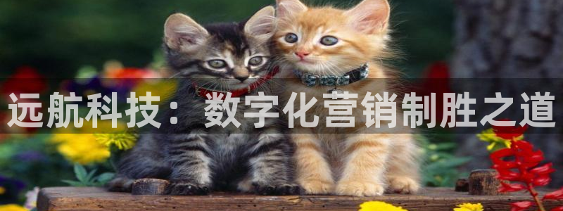 金年会手机版本网页登录