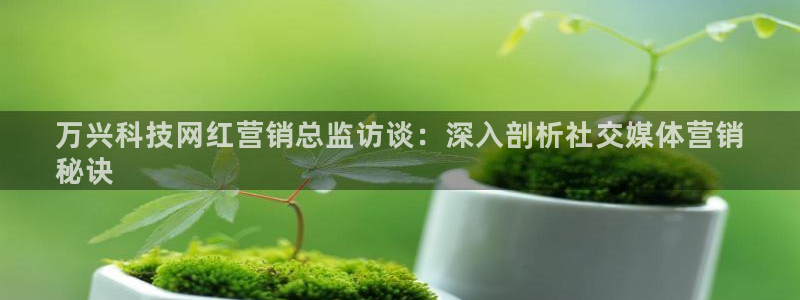 金年会会不会提不了款