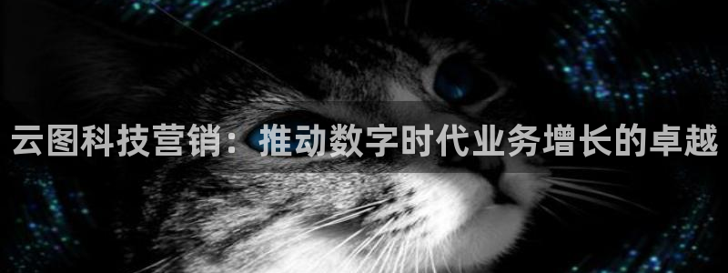 金年会官方登录入口手机版