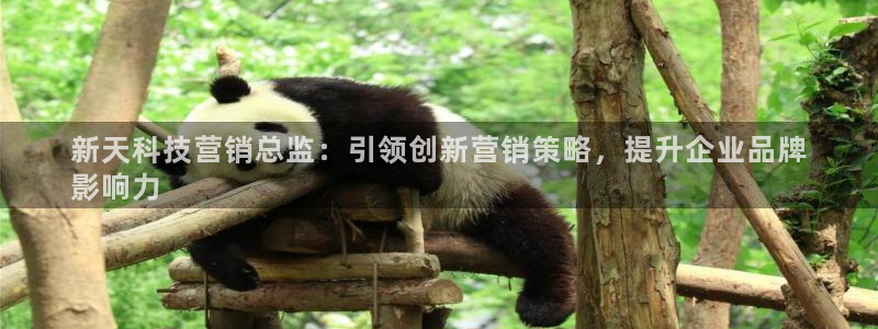 金年会平台官网登录