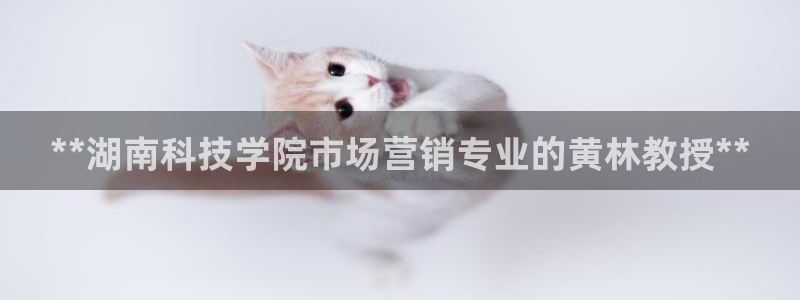 金年会体育