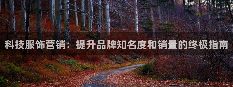 金年会电子
