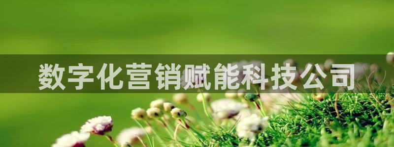 金年会黑不黑