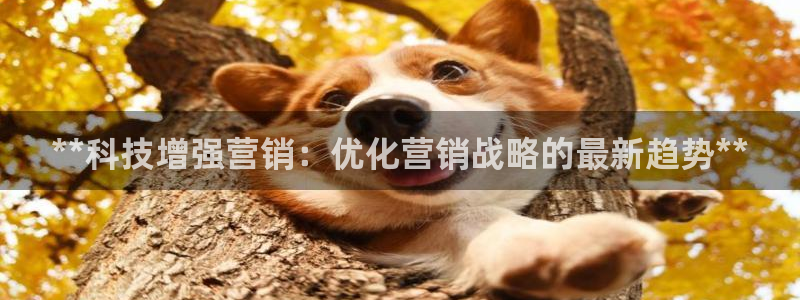 金年会金字招牌诚信经营