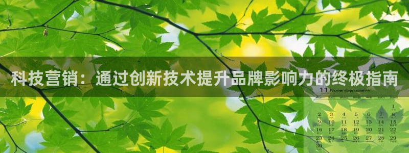 金年会网站平台怎么样