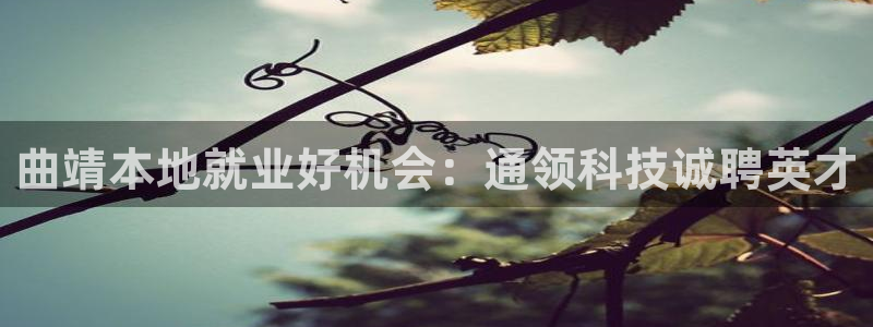金年会官方网址登录入口