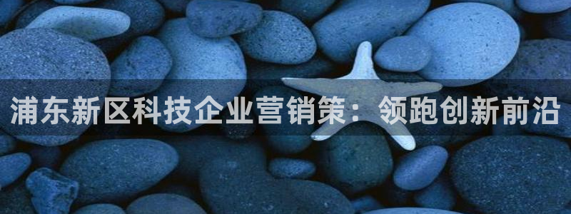 金年会官方网站入口v1.5.7