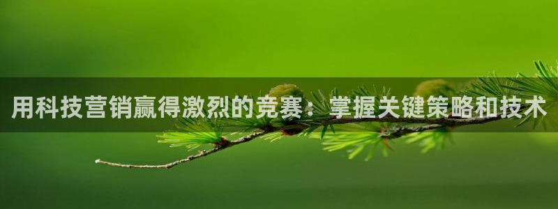 金年会电子平台