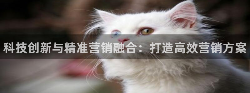金年会体育买球app下载