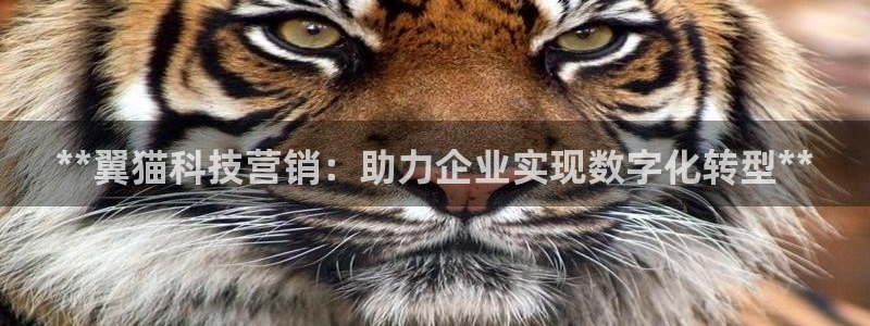 金年会ios版下载