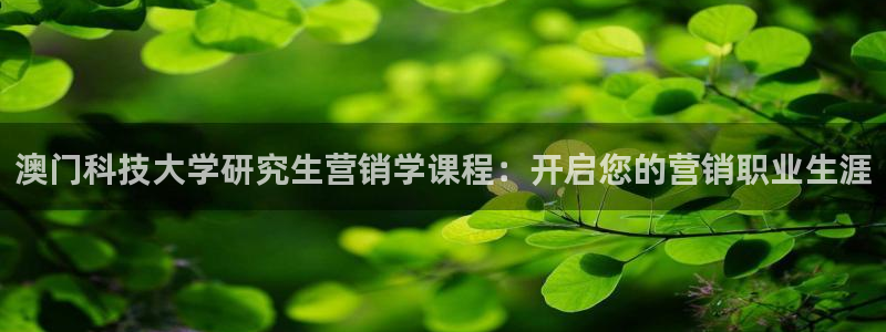 金年会体育app最新官网下载安卓