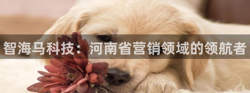 金年会金字招牌